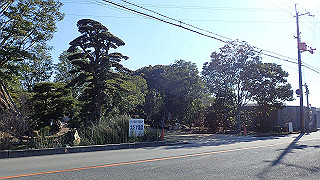 pc073351_thumb.jpg