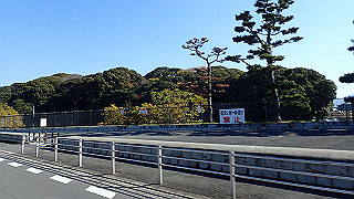 pc073389_thumb.jpg