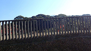 pc073391_thumb.jpg