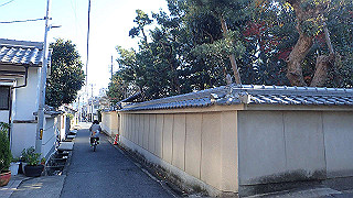 pc073399_thumb.jpg