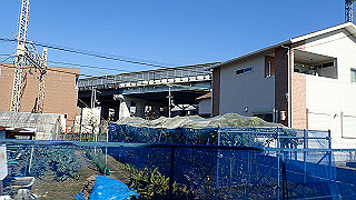 pc073407_thumb.jpg