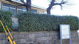 pc073424_thumb.jpg