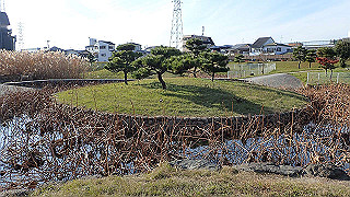 pc073454_thumb.jpg