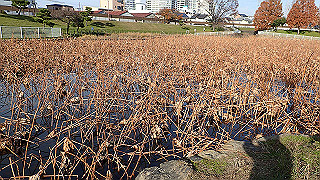 pc073455_thumb.jpg