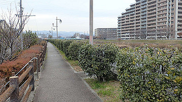 pc163390_thumb.jpg