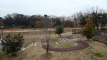 pc163440_thumb.jpg