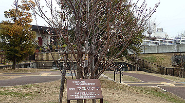 pc163447_thumb.jpg