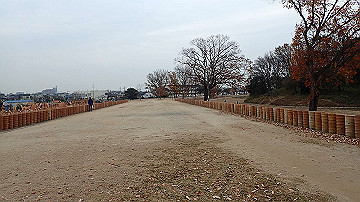 pc163456_thumb.jpg
