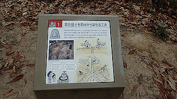 pc163478_thumb.jpg