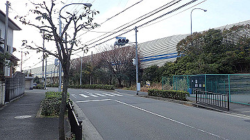 pc163496_thumb.jpg