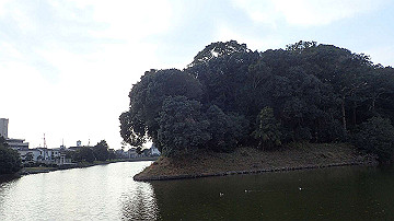 pc163499_thumb.jpg