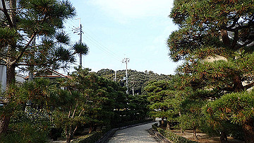 pc163507_thumb.jpg
