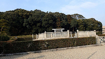 pc163509_thumb.jpg