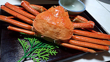 pc243356_thumb.jpg