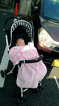 image4_thumb.jpg