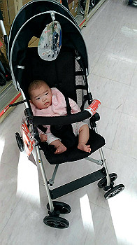 img_0031_thumb.jpg