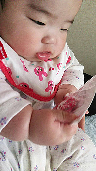 img_0379_thumb.jpg