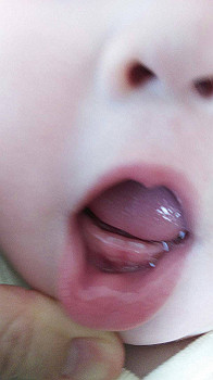 img_0564_thumb.jpg