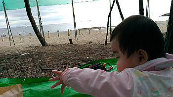 img_0602_thumb.jpg