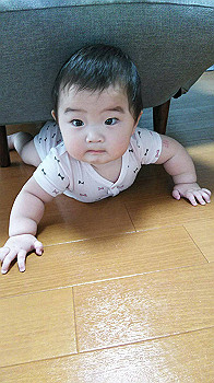 img_0627_thumb.jpg
