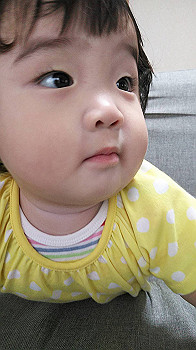 img_1526_thumb.jpg
