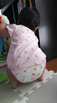 img_1538_thumb.jpg