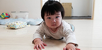 img_1585_thumb.jpg