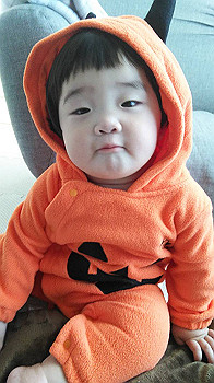 img_1797_thumb.jpg