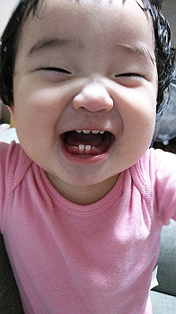 img_1803_thumb.jpg