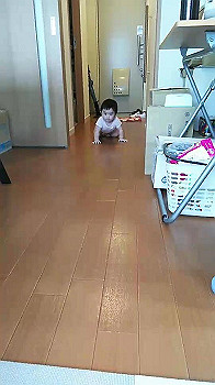 tlqa7610.mp4_snapshot_00.00_thumb.jpg