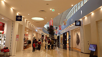 p1023398_thumb.jpg
