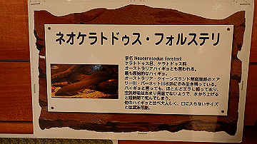 p1023409_thumb.jpg