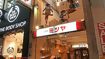 p1103417_x264.mp4_thumb.jpg