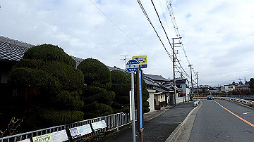 p1183789_thumb.jpg