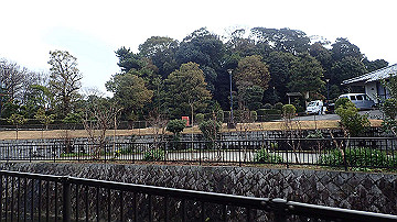 p1183801_thumb.jpg