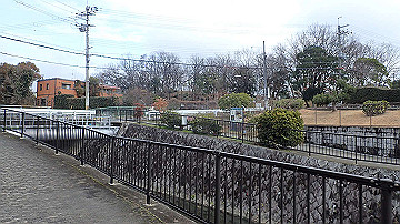 p1183802_thumb.jpg