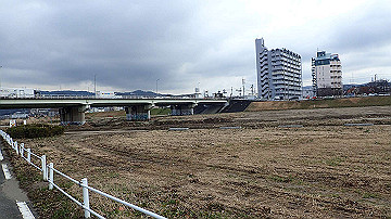p1183805_thumb.jpg