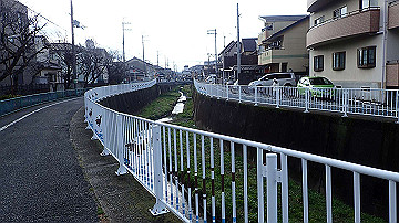 p1183817_thumb.jpg