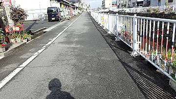 p1183824_thumb.jpg