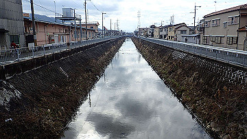 p1183841_thumb.jpg