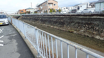 p1183842_thumb.jpg
