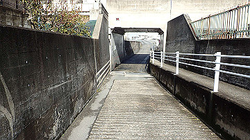 p1183858_thumb.jpg