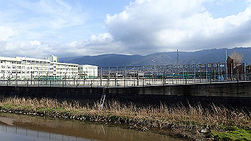 p1183869_thumb.jpg