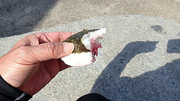 p1183898_thumb.jpg