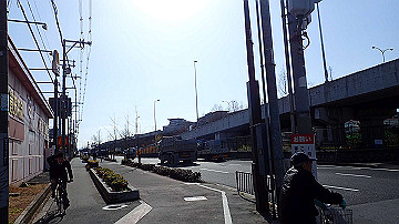 p1183922_thumb.jpg