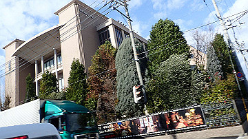 p1183925_thumb.jpg