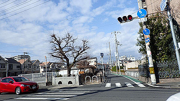 p1183928_thumb.jpg