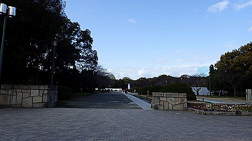 p1183938_thumb.jpg