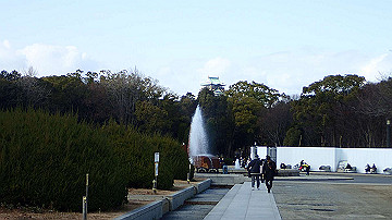 p1183940_thumb.jpg