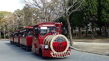 p1183942_thumb.jpg